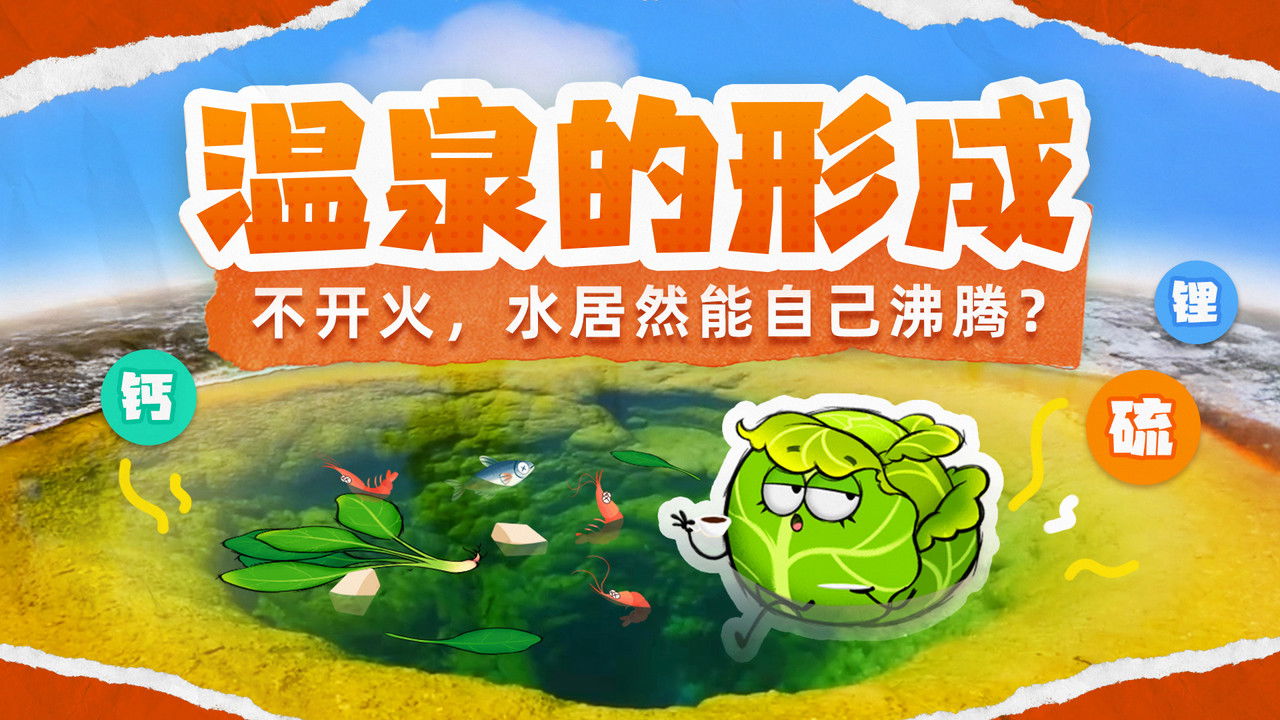 斑马百科探索 — Épisode 11