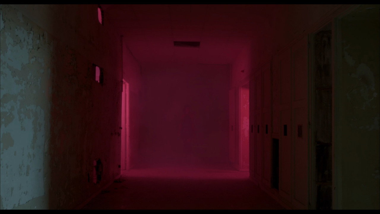 Fondo