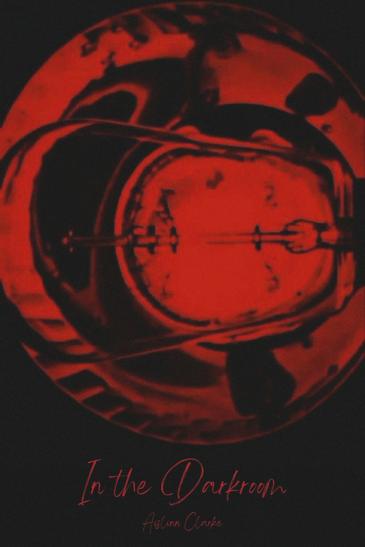 In the Darkroom filmaffisch