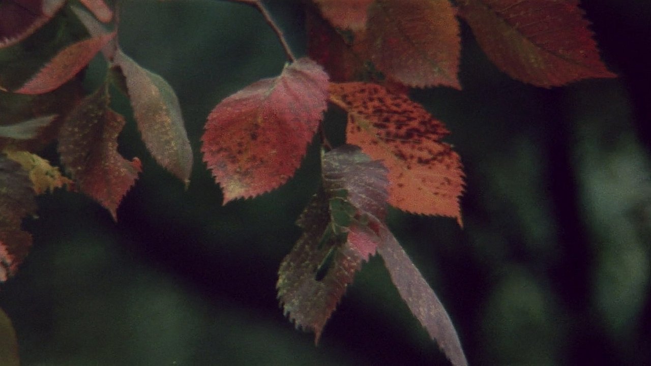 title image