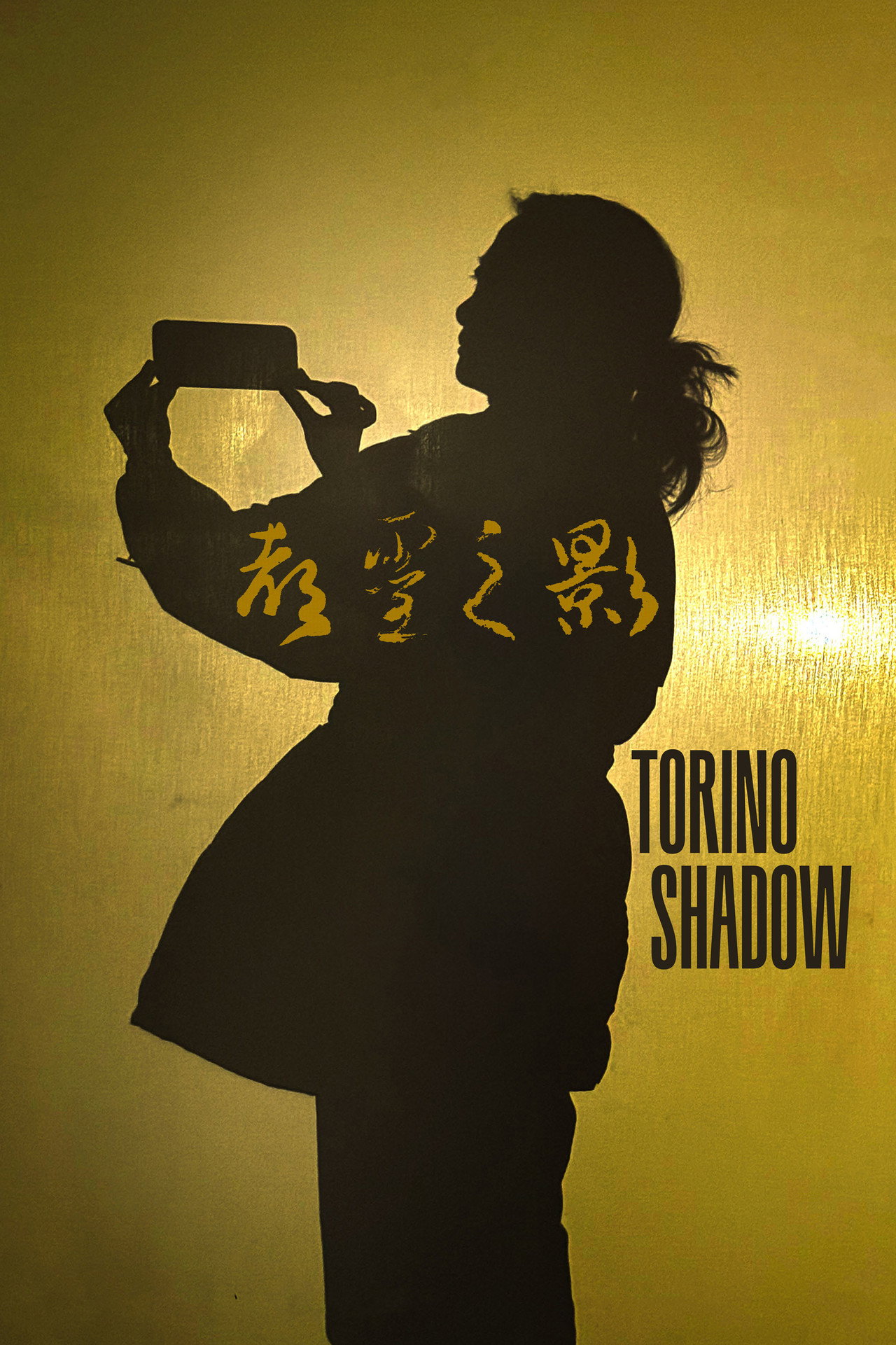 Torino Shadow
