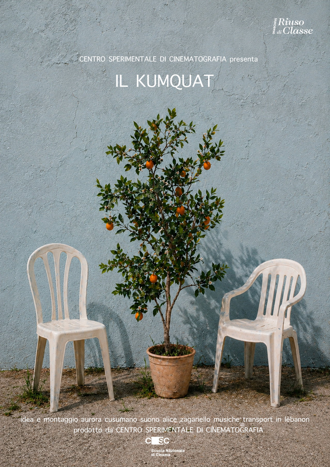 Il Kumquat
