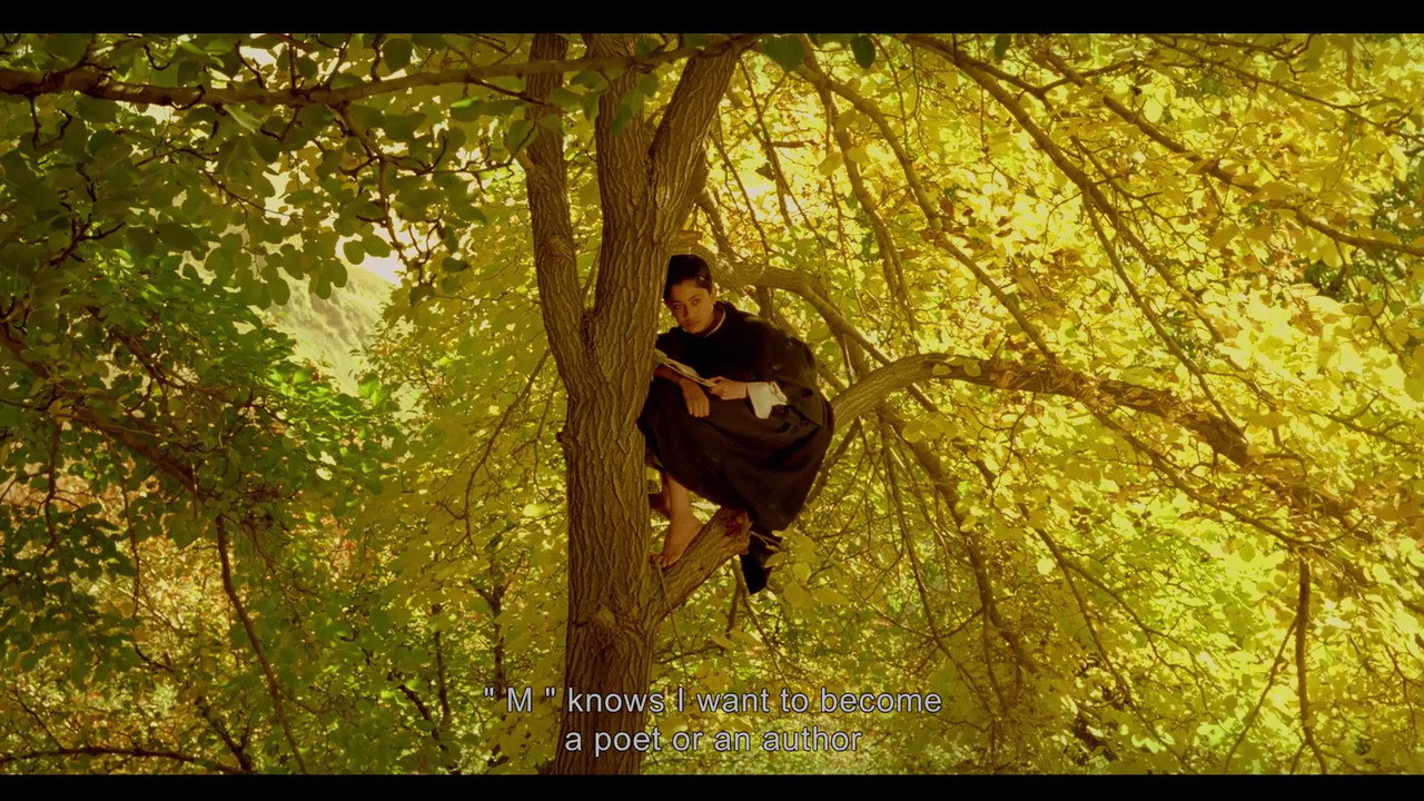 The Pear Tree backdrop