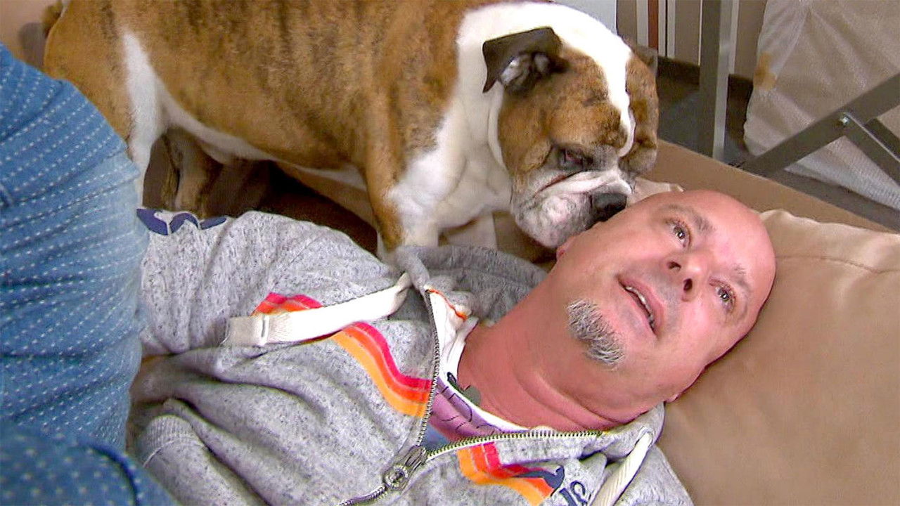 Hot oder Schrott: Die Allestester — Épisode 8