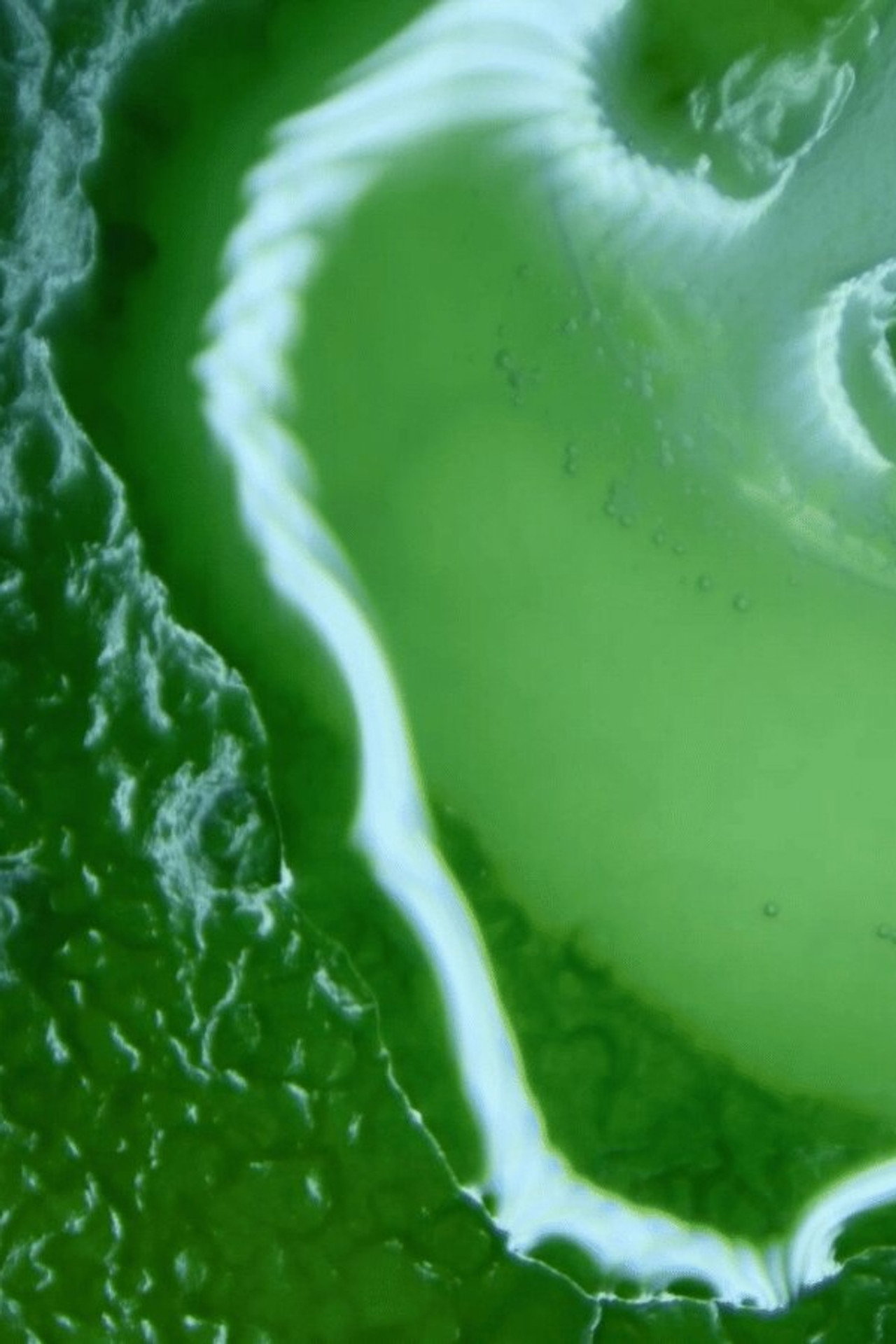 Ideas of Order filmaffisch