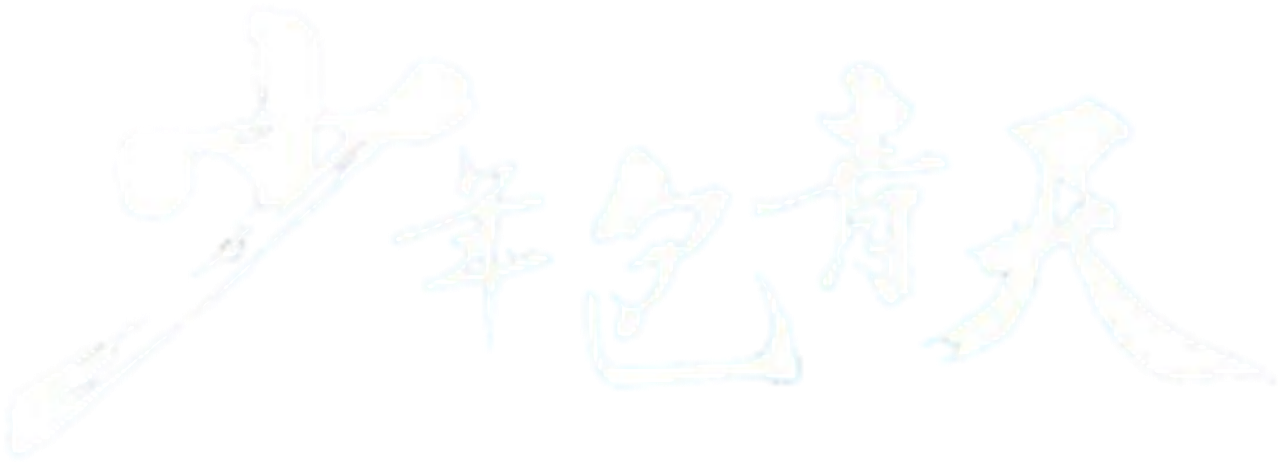 少年包青天