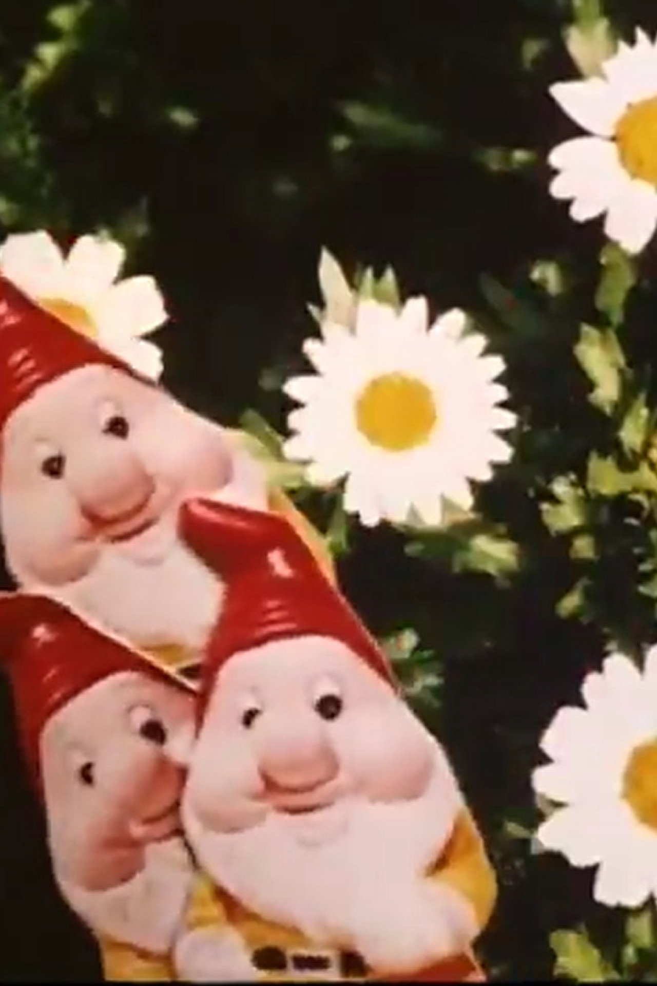 Pop Kitsch filmaffisch