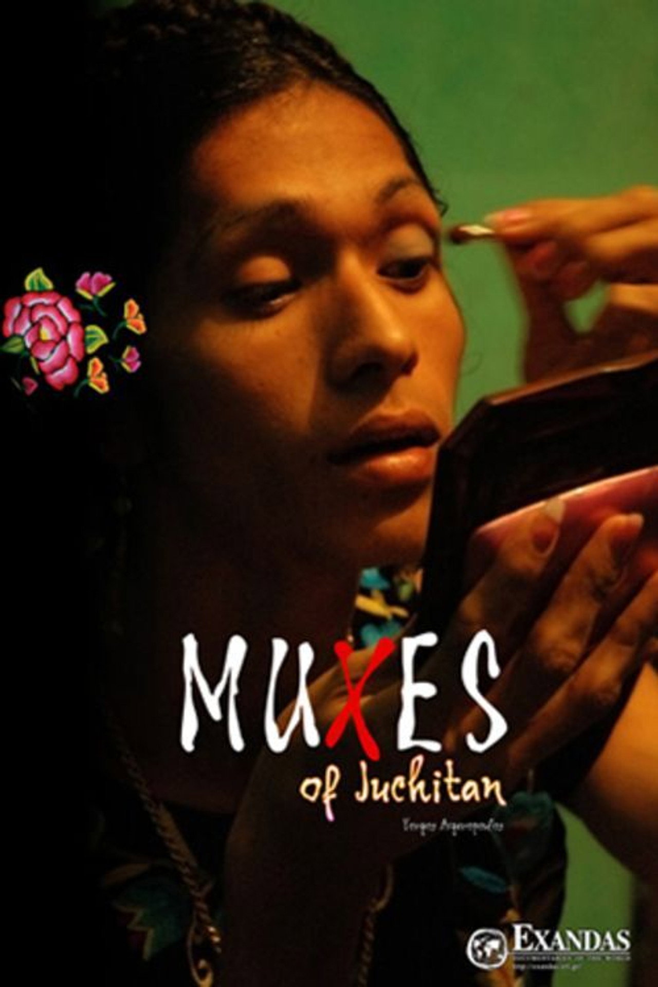 Muxes deJuchitán filmaffisch
