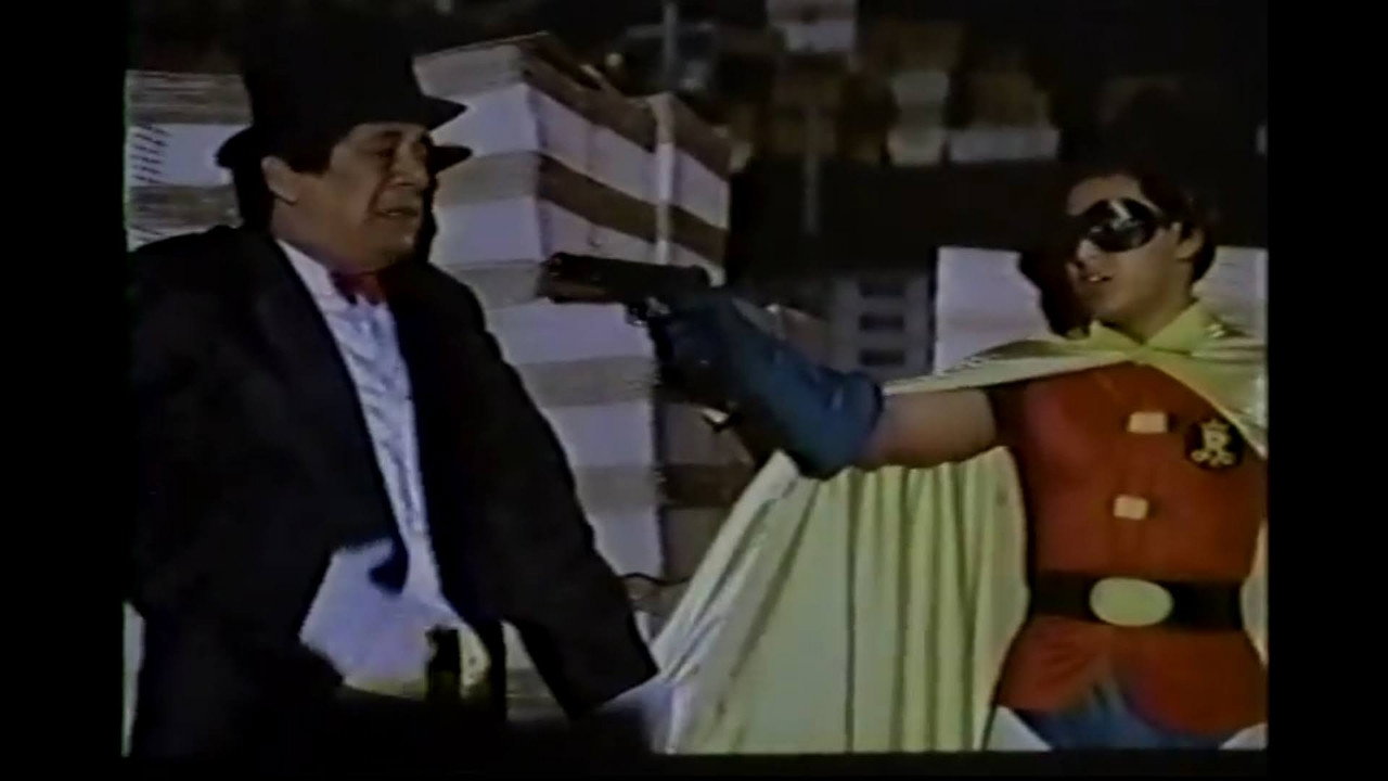 Alias Batman and Robin backdrop