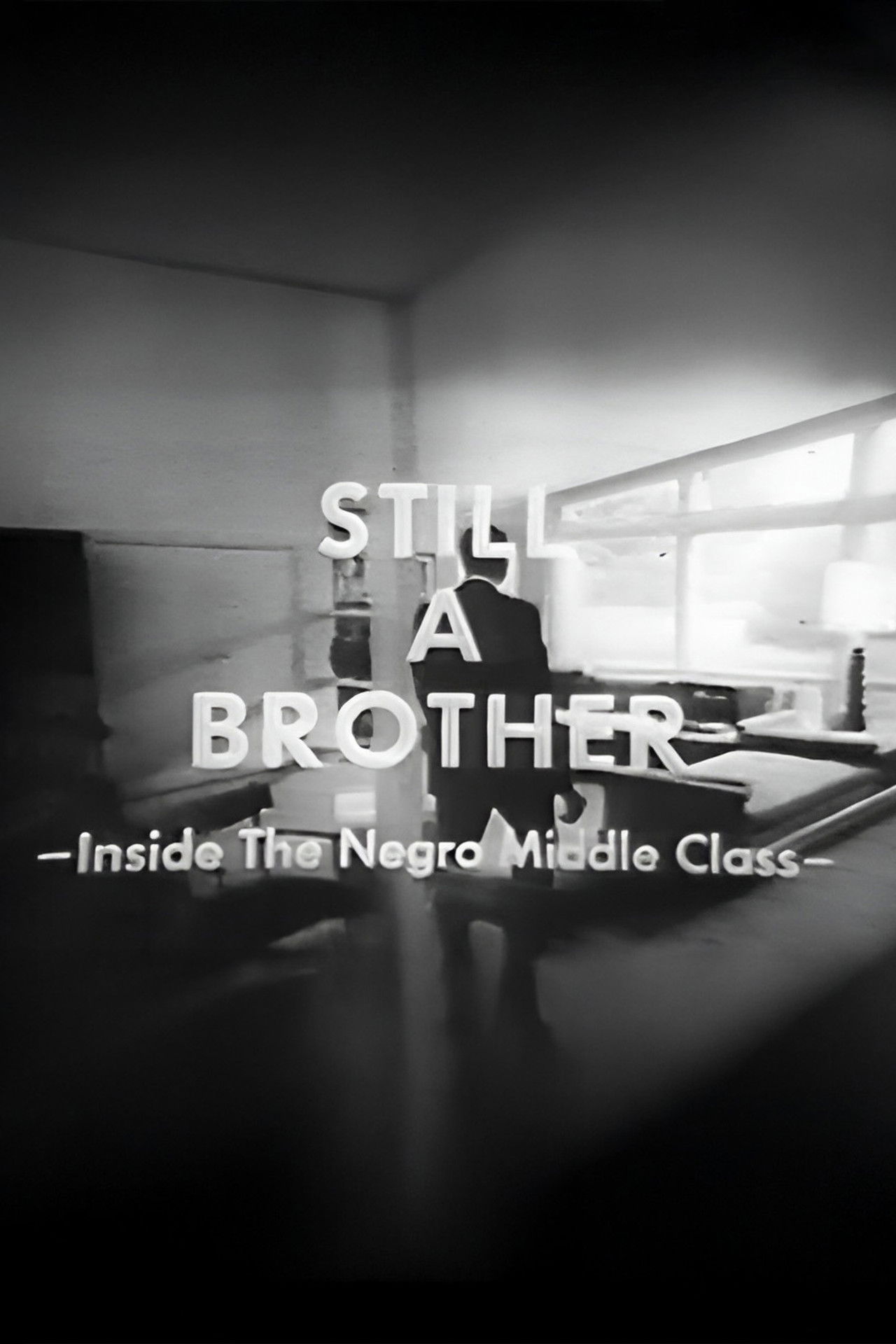 Still A Brother: Inside the Negro Middle Class poster