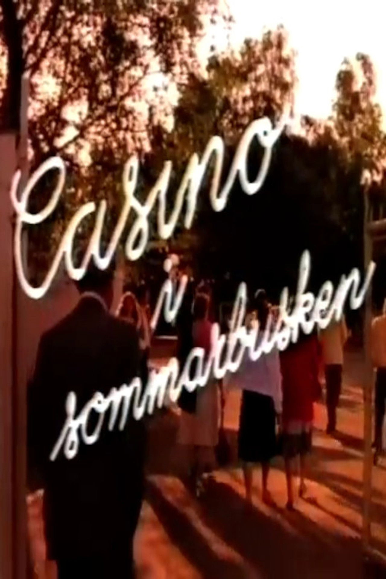 Casino i sommarbusken Backdrop