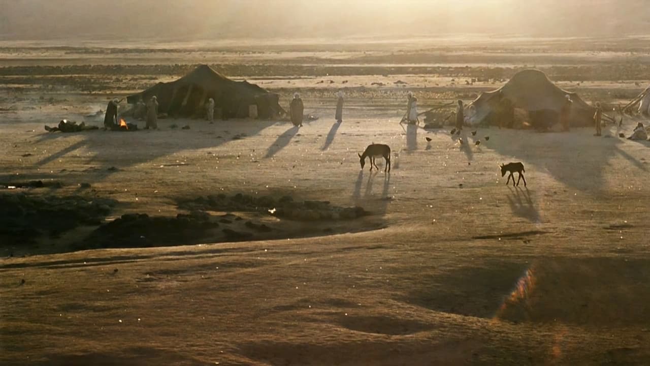 Cast and Crew of In the Beginning