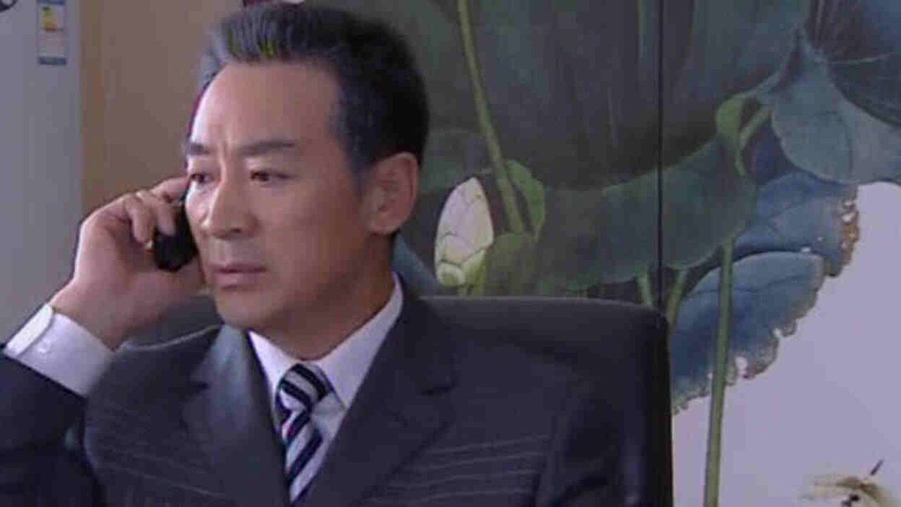 良心无悔 — Épisode 20