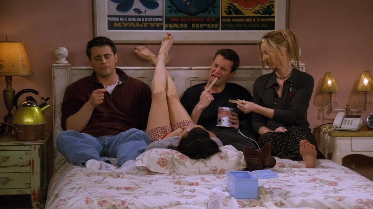 Friends - Season 3 Episode 16 : The One with the Morning After