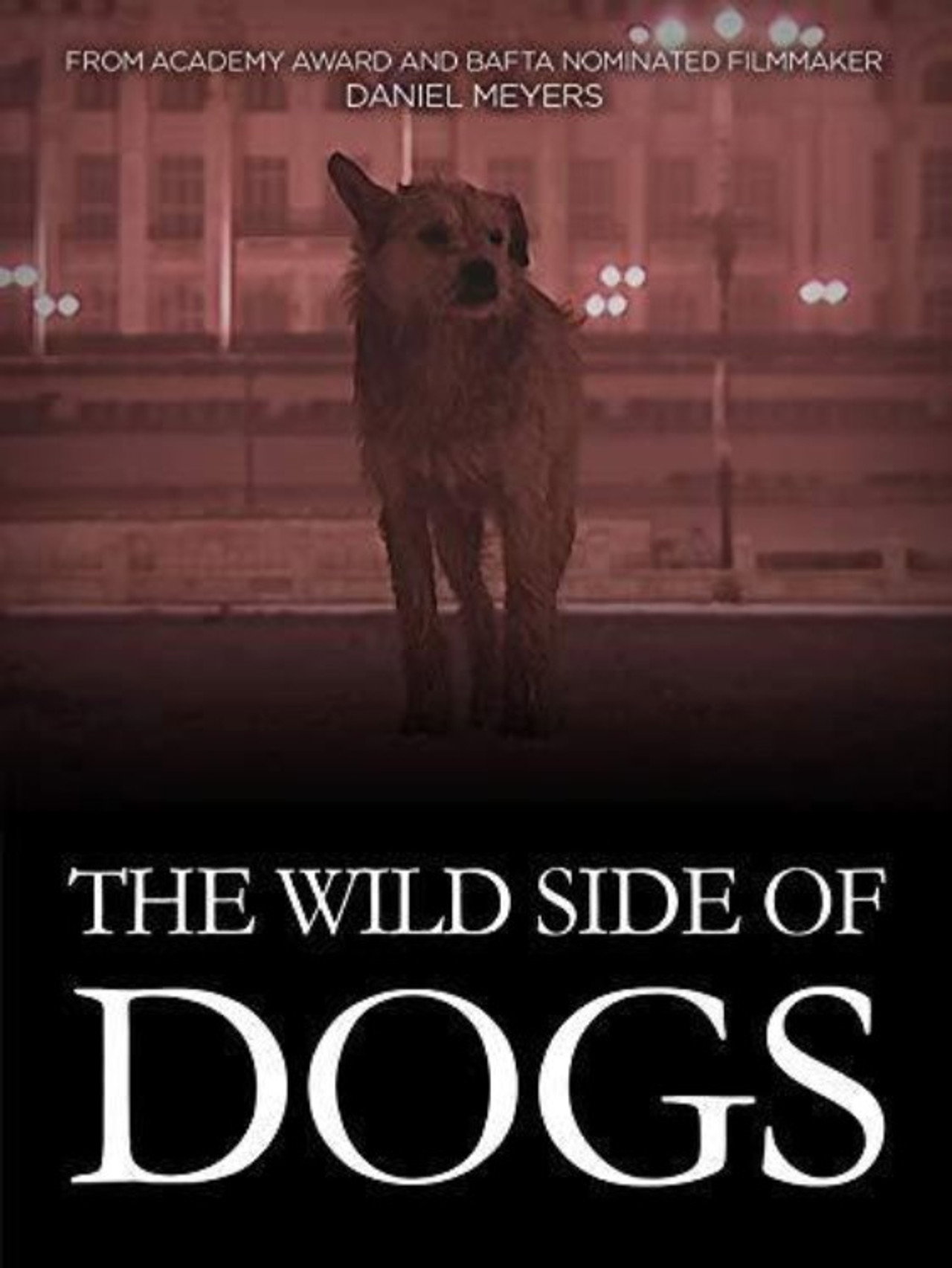 The Wild Side of Dogs (2019)