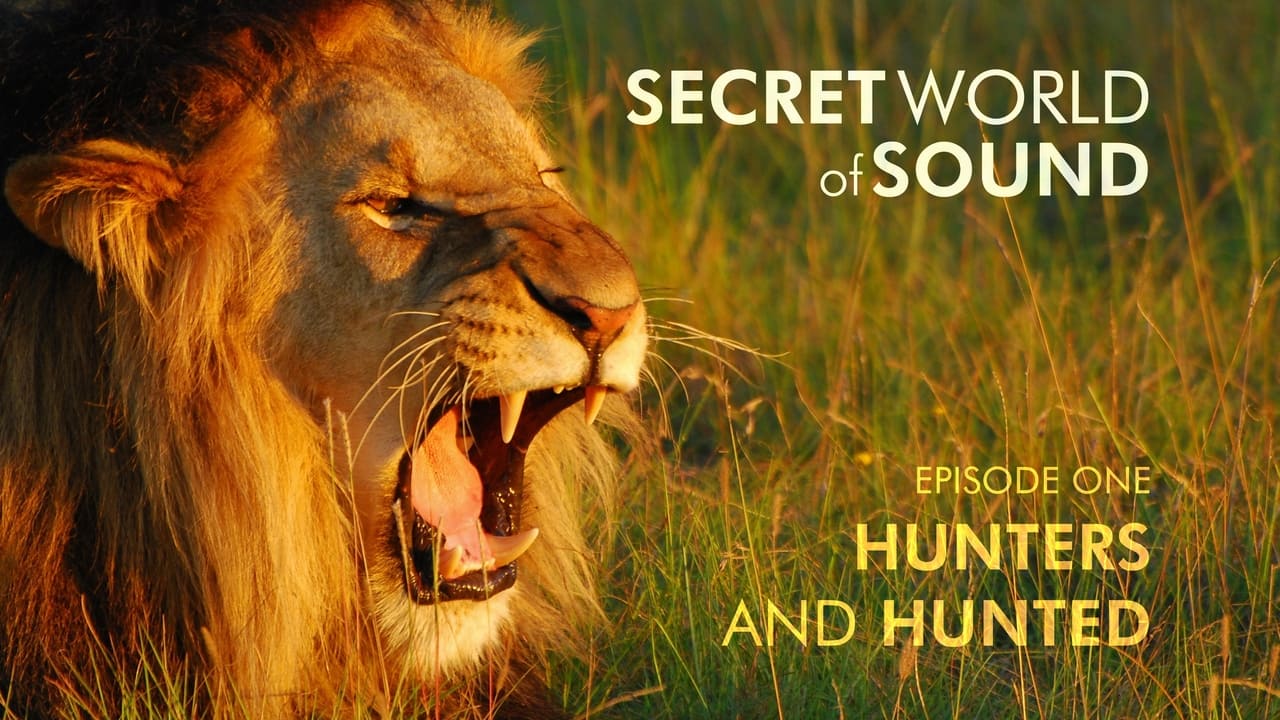 The Nature of Things - Season 63 Episode 7 : Secret World of Sound: Hunters and Hunted