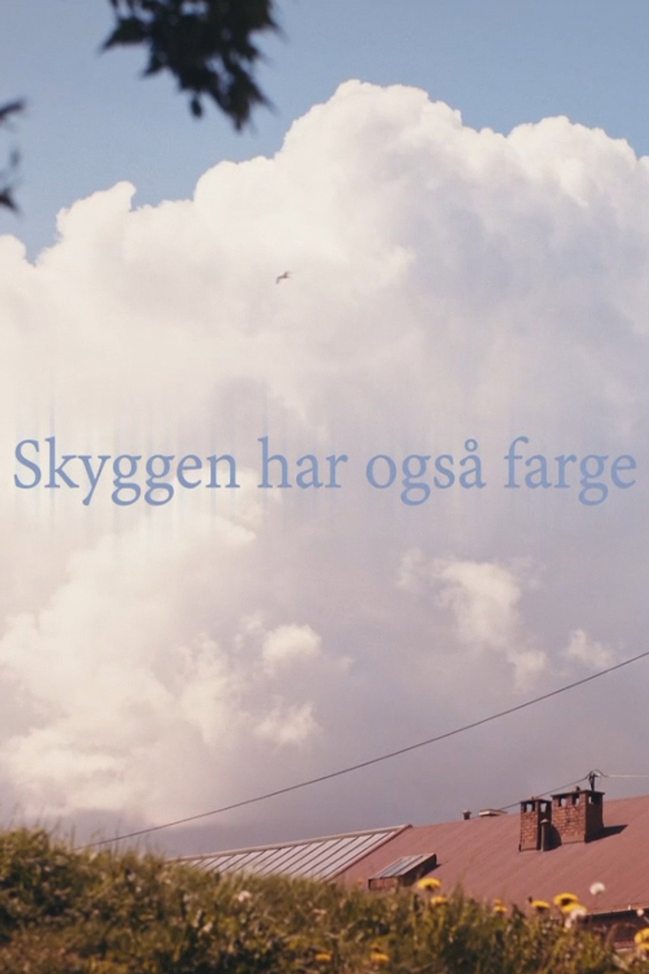 Skyggen har også farge filmaffisch