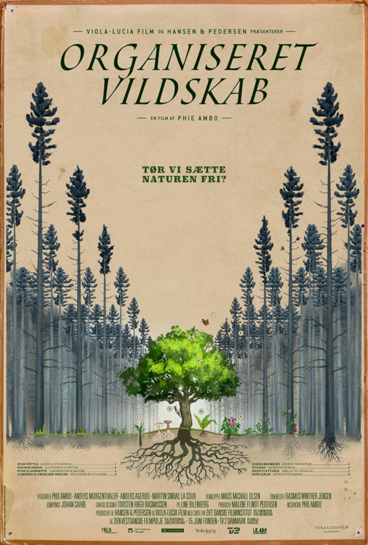 Organiseret Vildskab filmaffisch