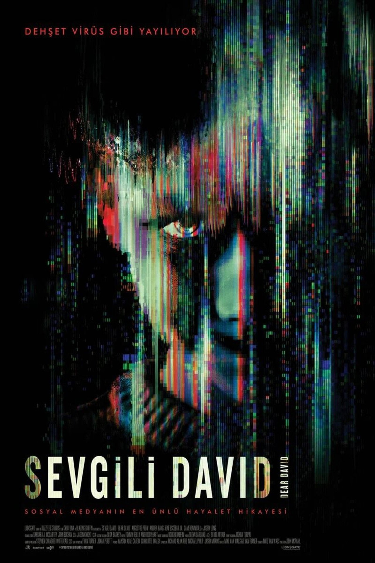 Sevgili David Poster