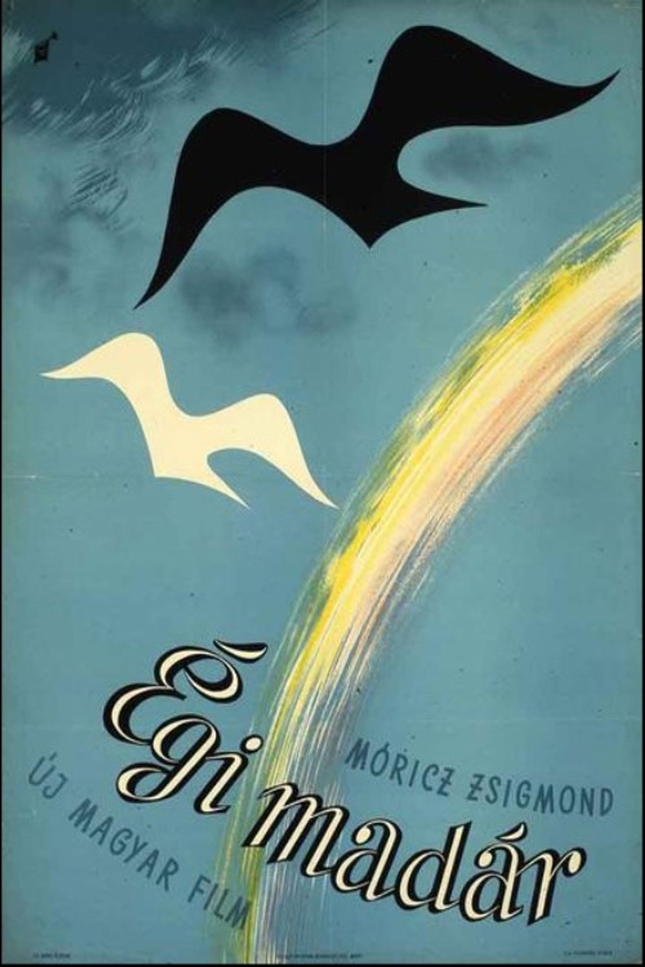A Bird of Heaven