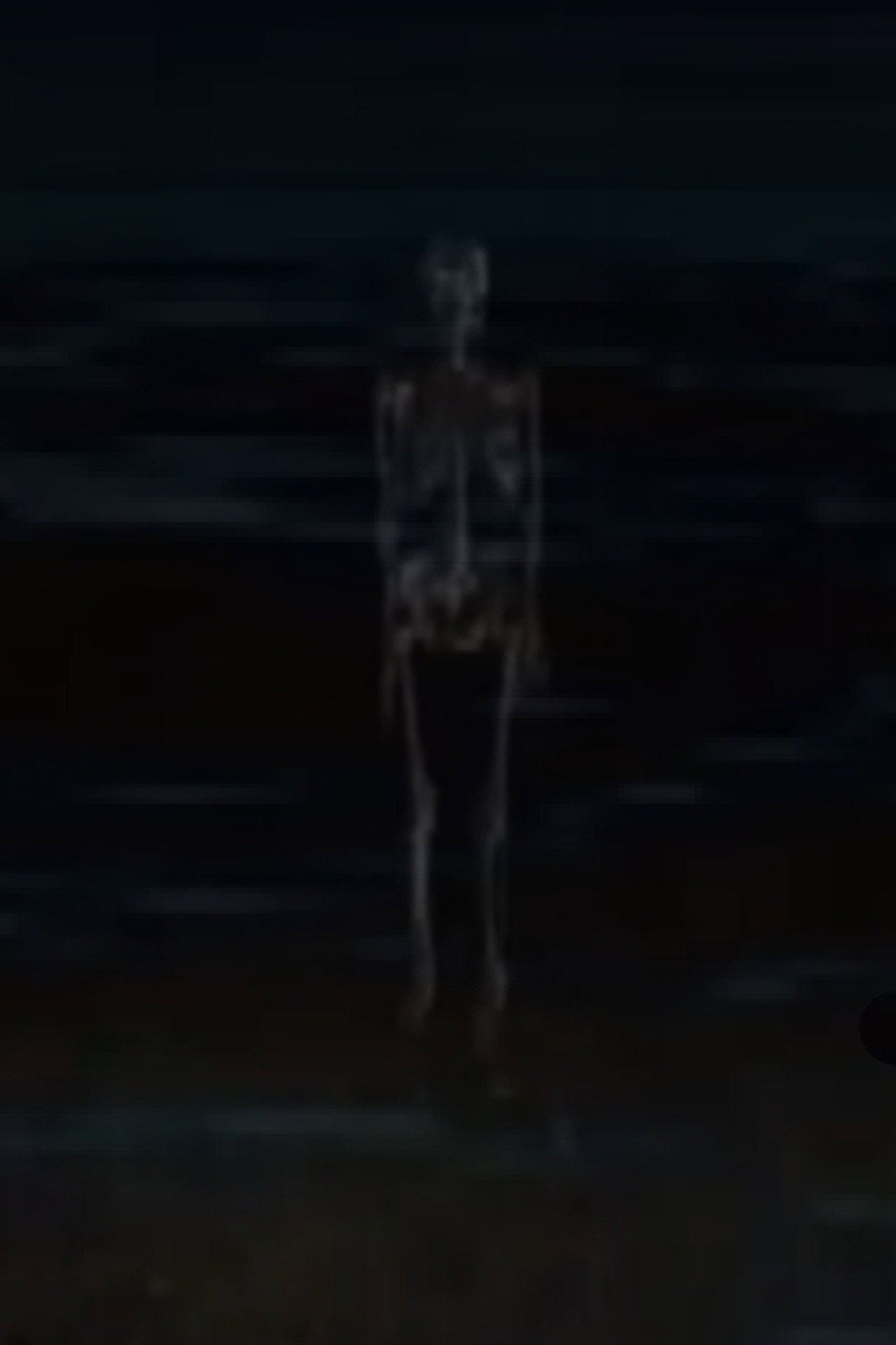 Ancient Skeleton Joke Backdrop