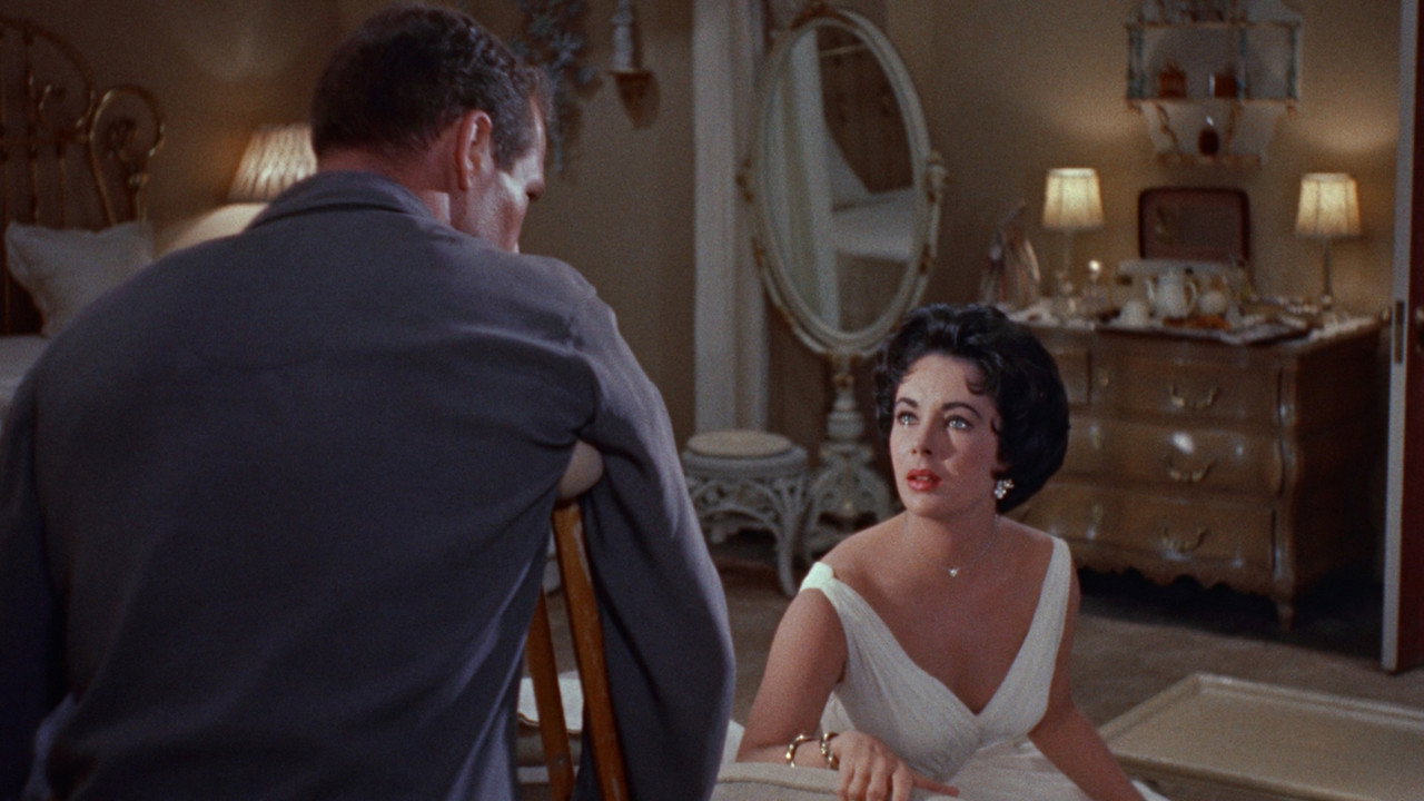 Cat on a Hot Tin Roof background 24