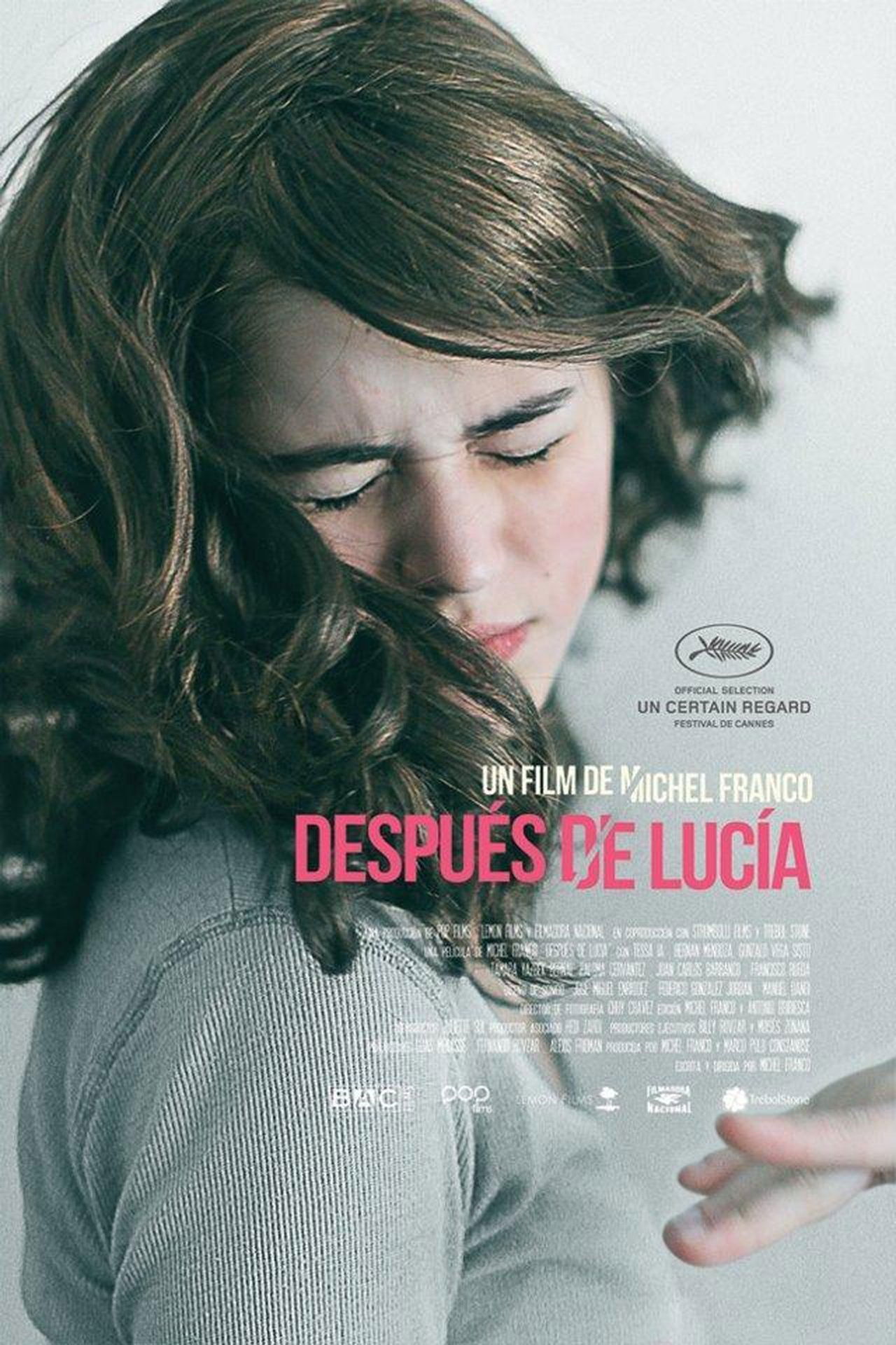 Después de Lucía poster
