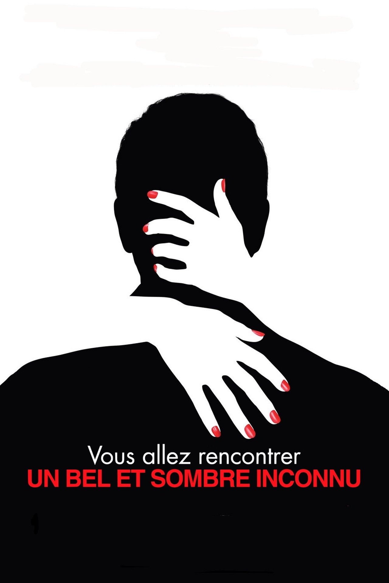 Vous allez rencontrer un bel et sombre inconnu poster