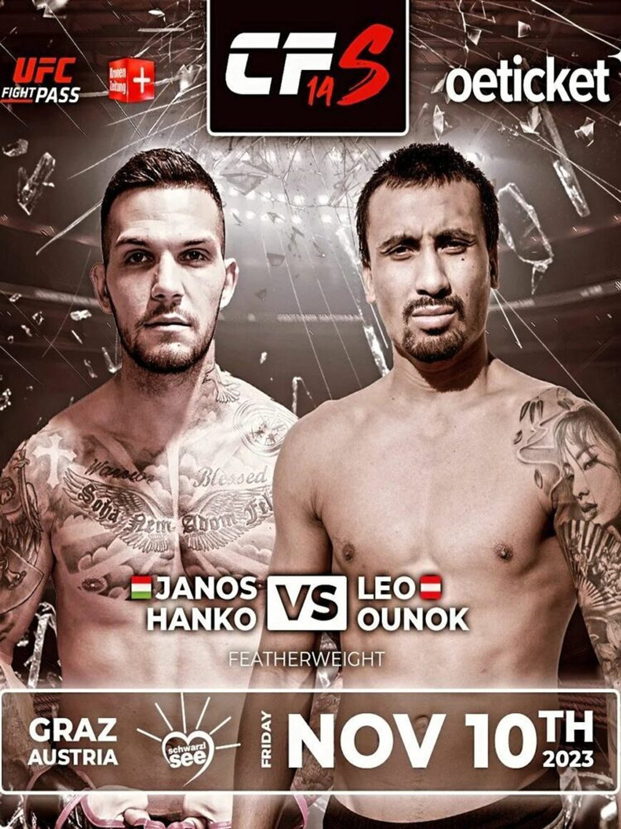 Cage Fight Series 14 poster