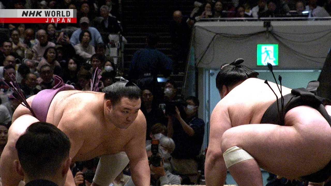 GRAND SUMO Highlights - Season 21 Episode 7 : Day 7