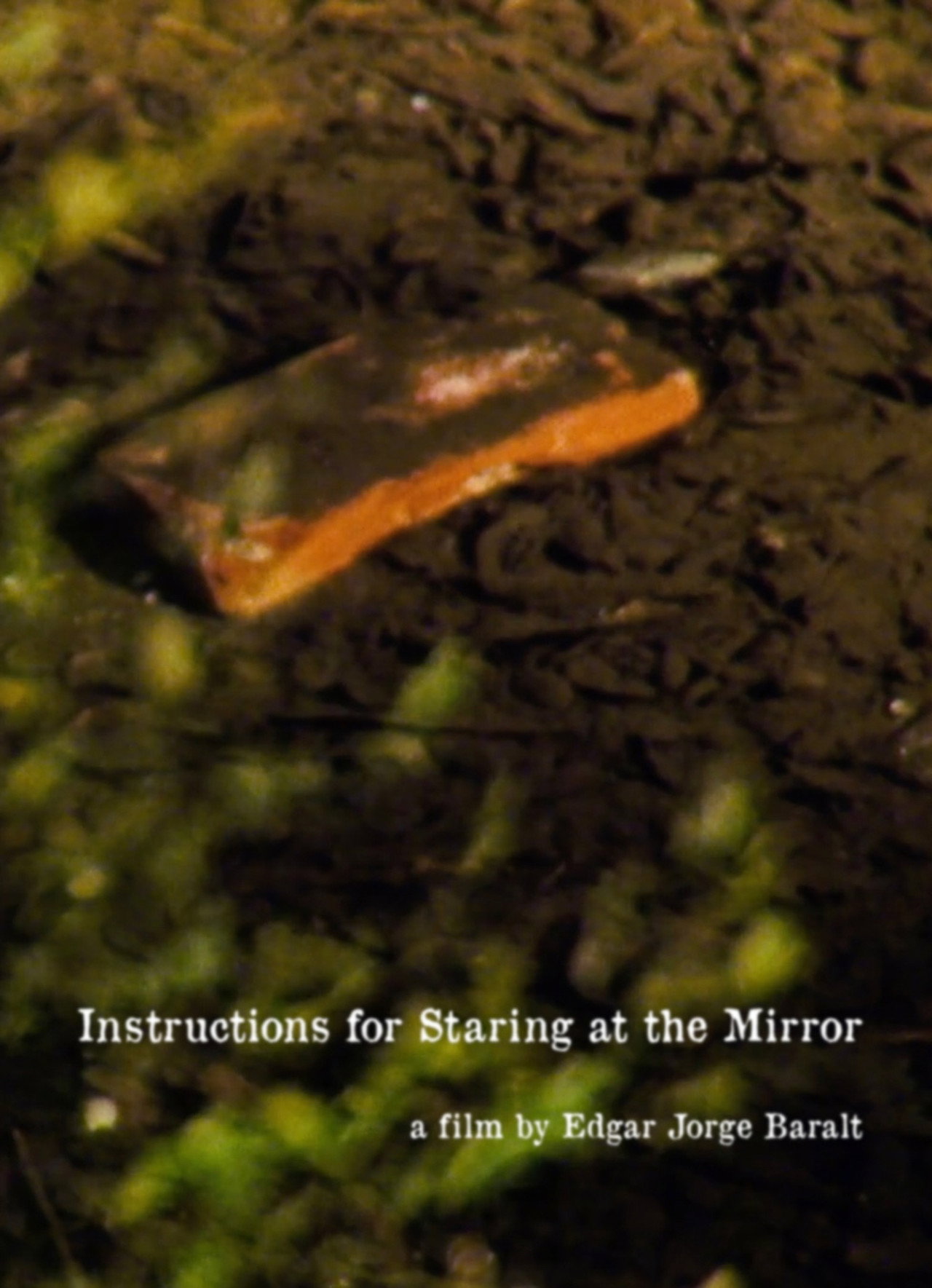 Instructions for Staring at the Mirror