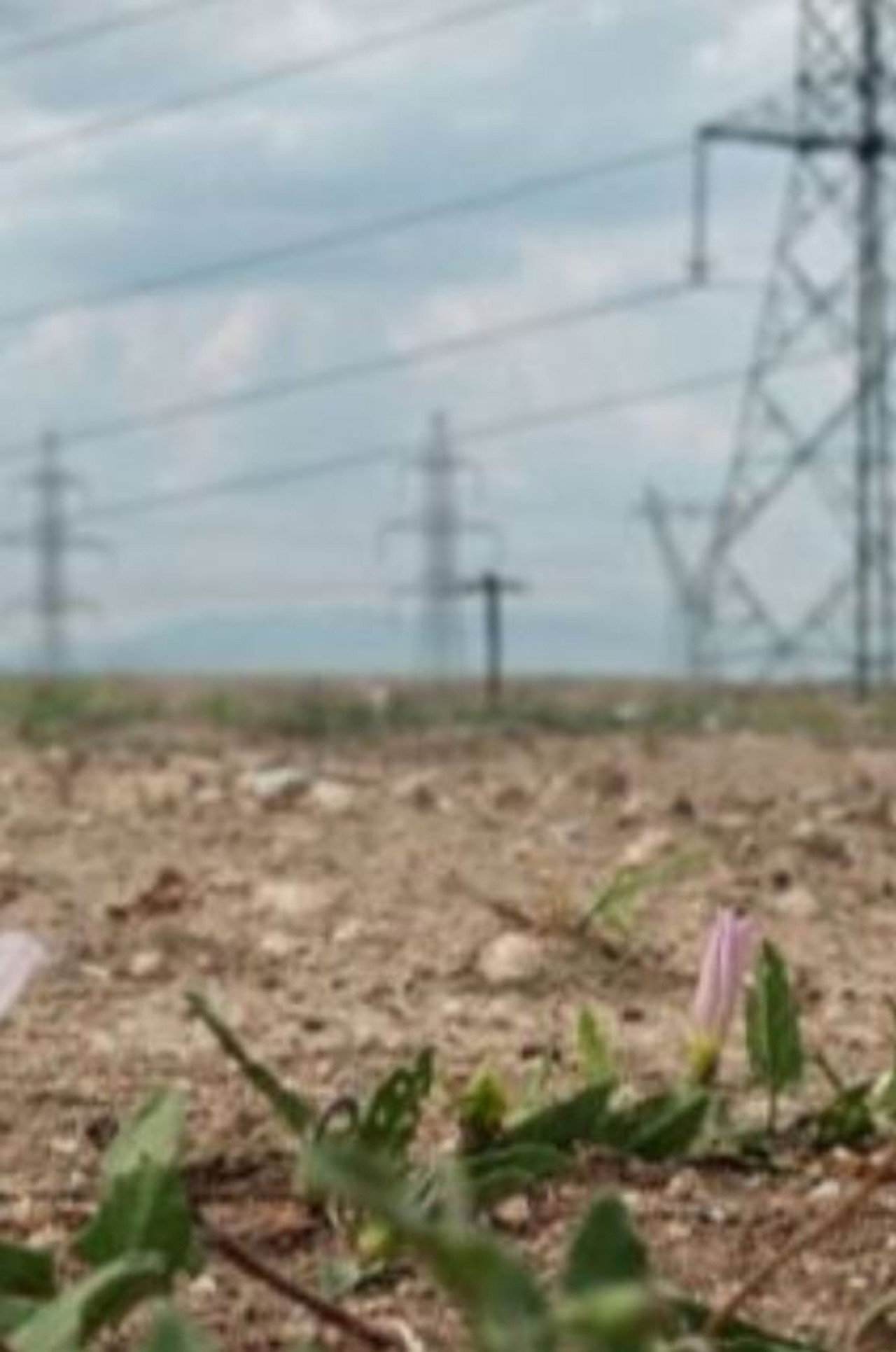 Disaster Theories: Our Planet in Flames filmaffisch
