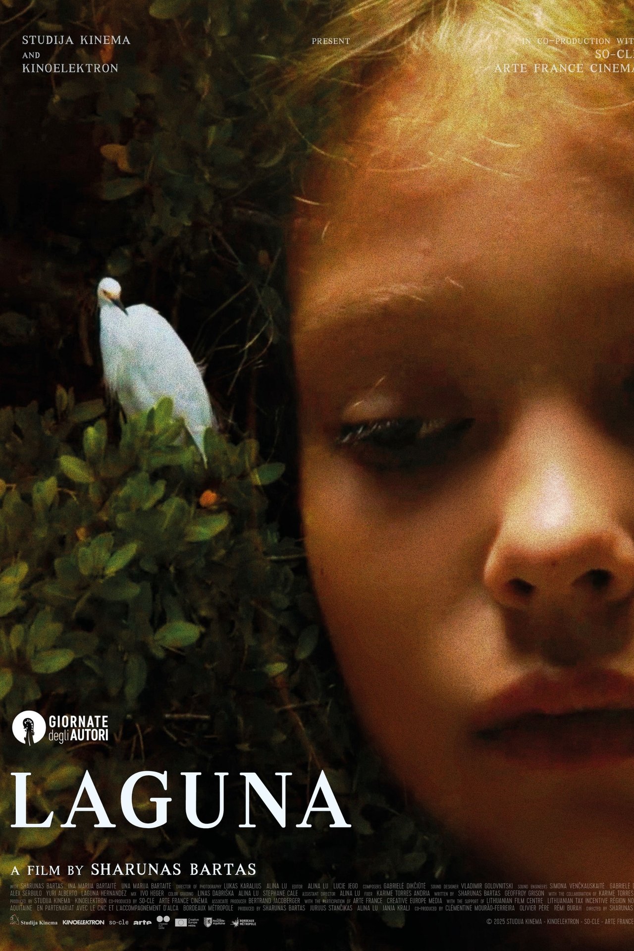 مشاهدة فيلم Laguna مترجم بدون اعلانات - بوستر