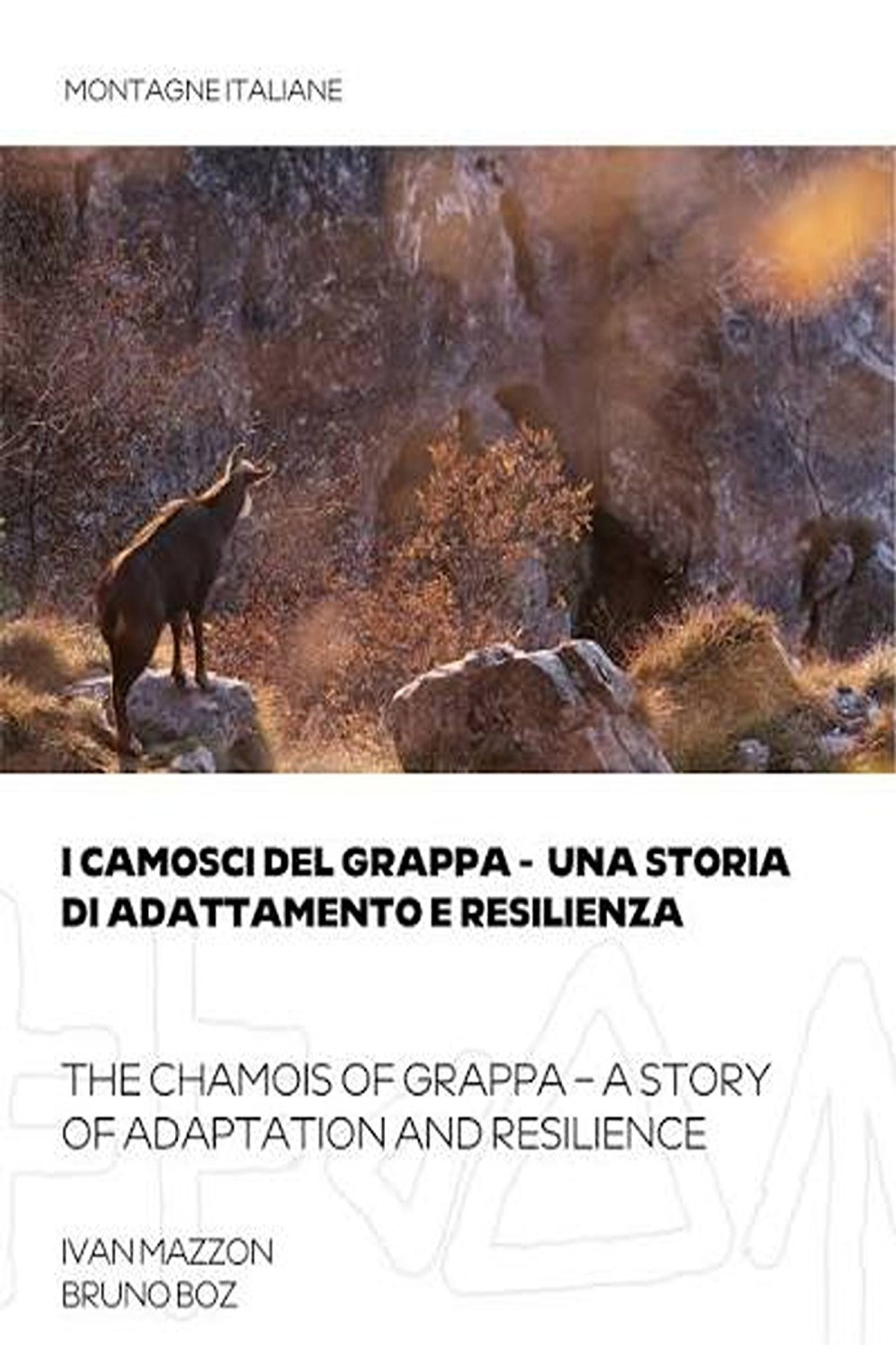 THE CHAMOIS OF GRAPPA - A STORY OF ADAPTATION AND RESILIENCE (2026)