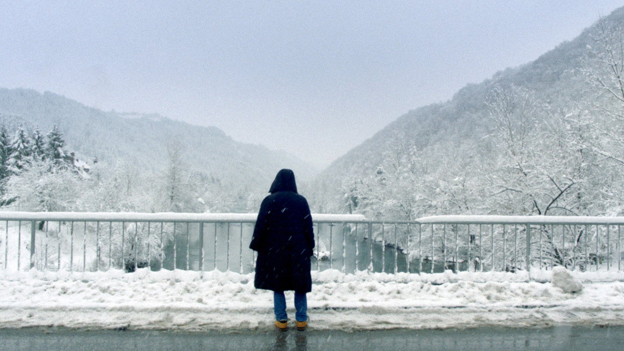 Fondo