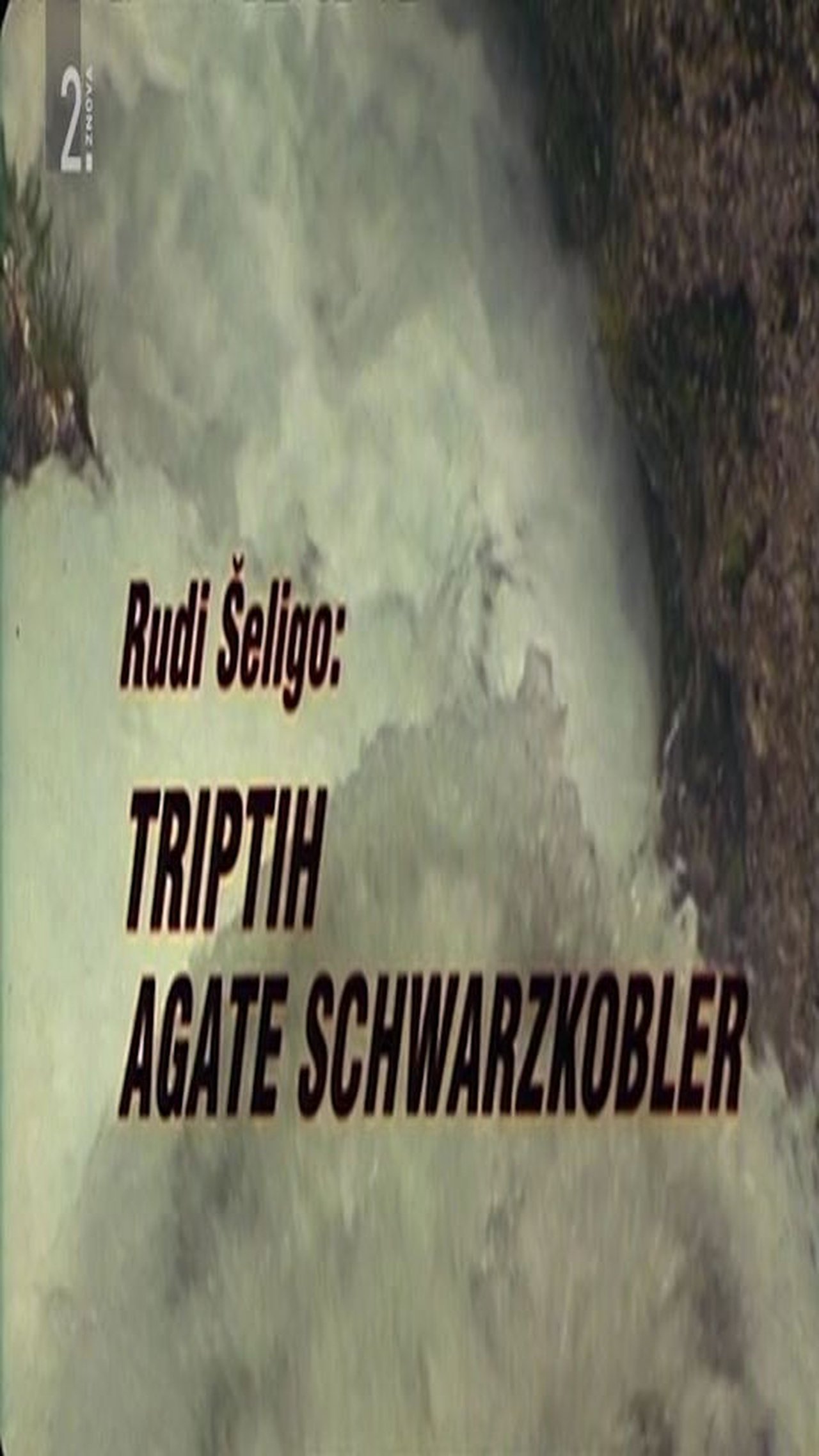Triptih Agate Schwarzkobler Triptih Agate Schwarzkobler