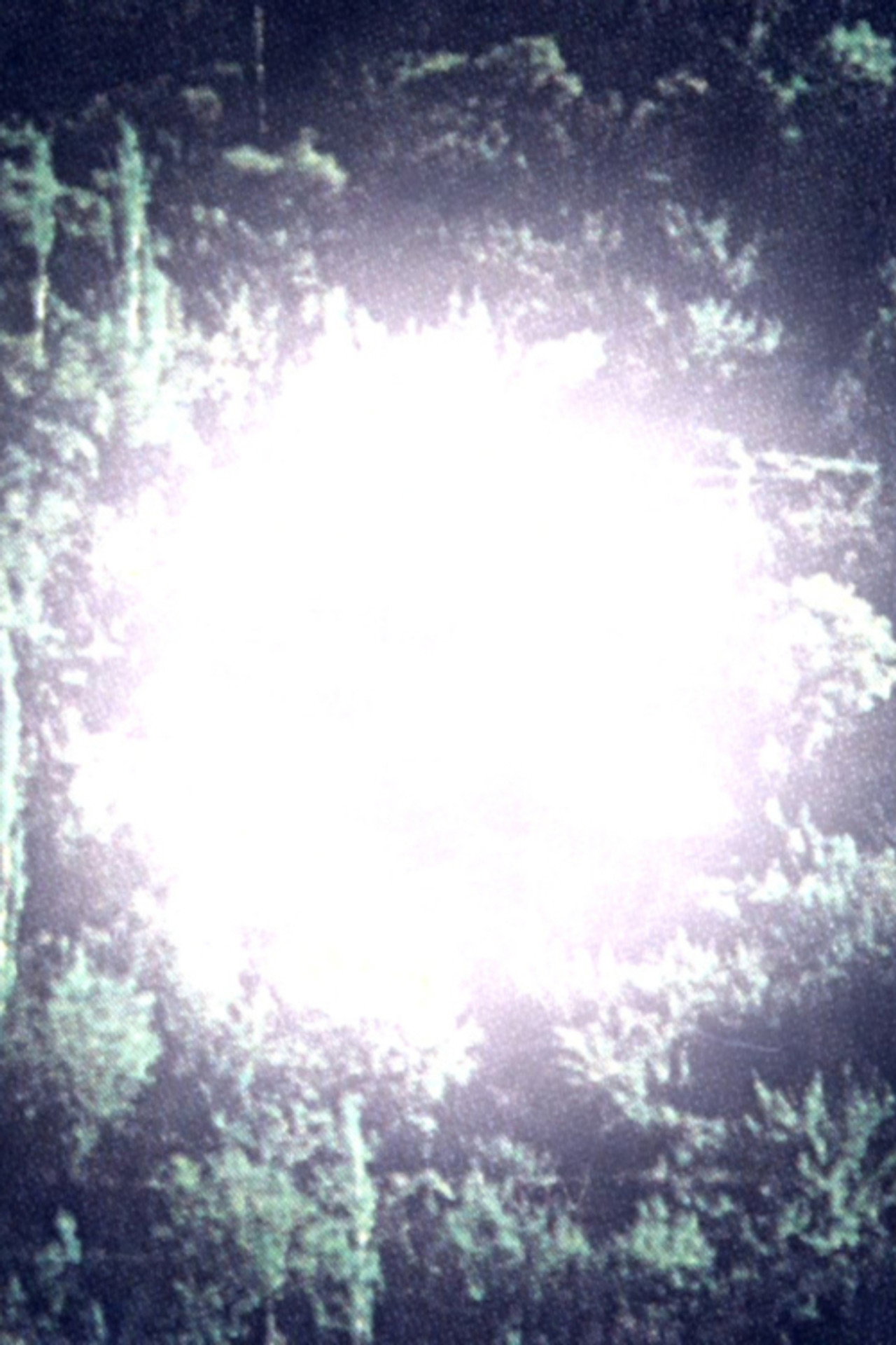 聴こえない足音 filmaffisch