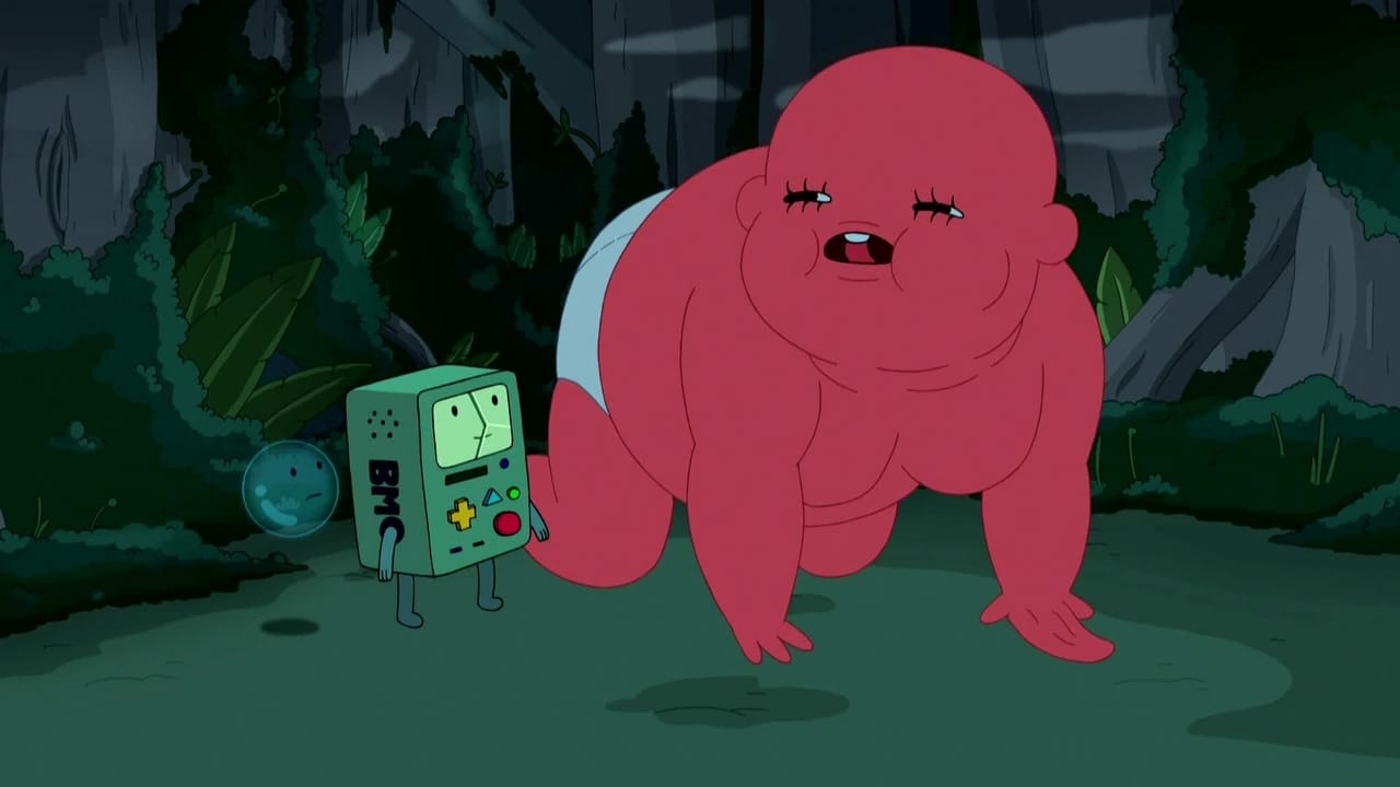 Adventure Time - Season 5 Episode 17 : BMO Lost