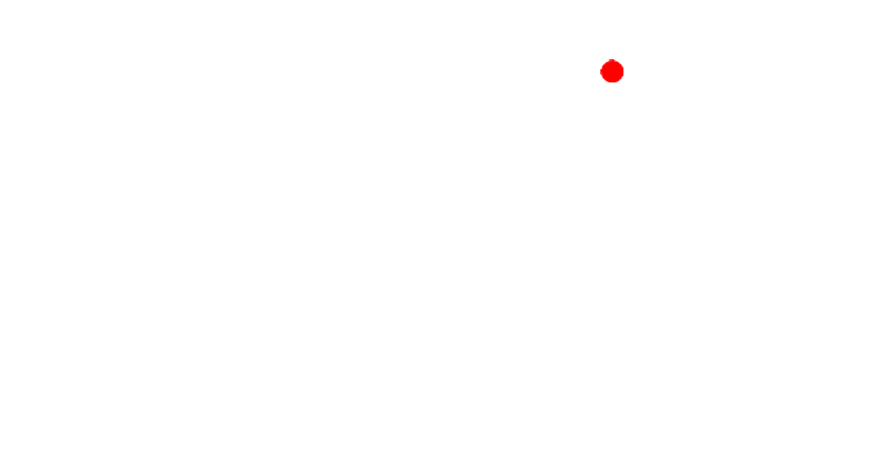 Хаяо Миядзаки и птица