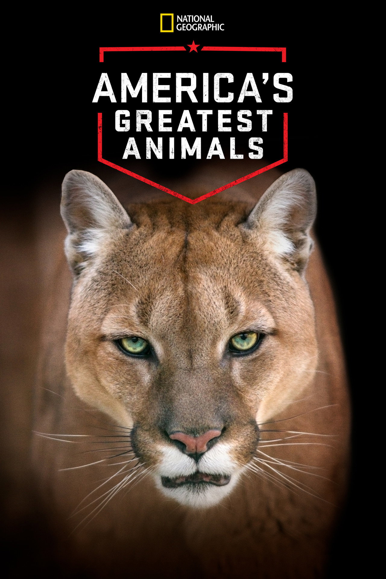 America's Greatest Animals filmaffisch