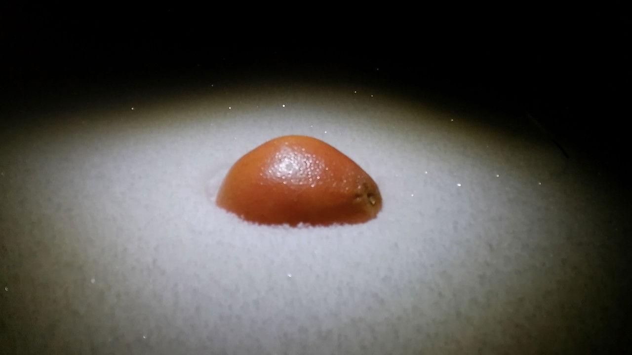 My Friend, the Grapefruit