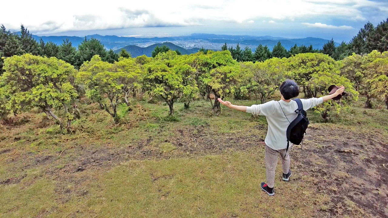 Tozan de Itadaki Meshi! - Season 2 Episode 28 : Episode 28