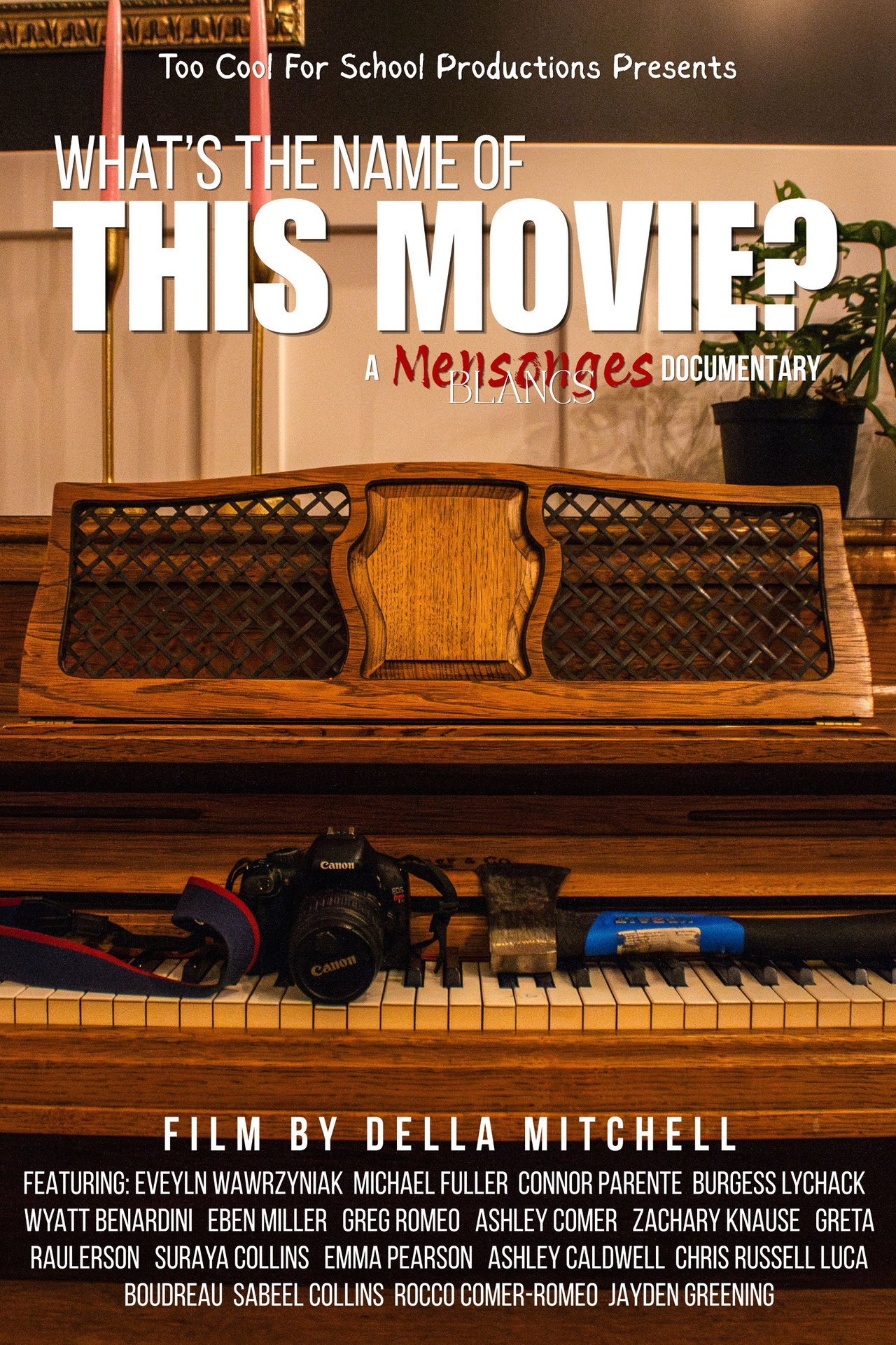 What's The Name of This Movie? : A Mensonges Blancs Documentary poster