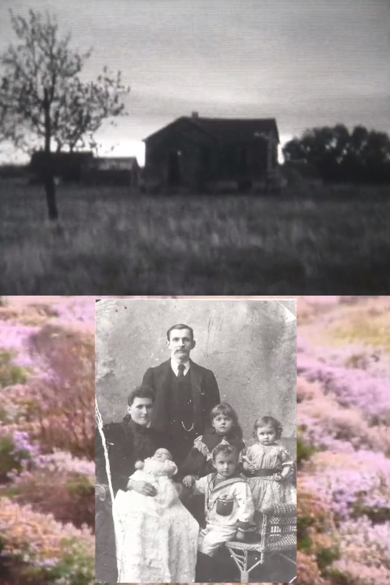 Homelands filmaffisch