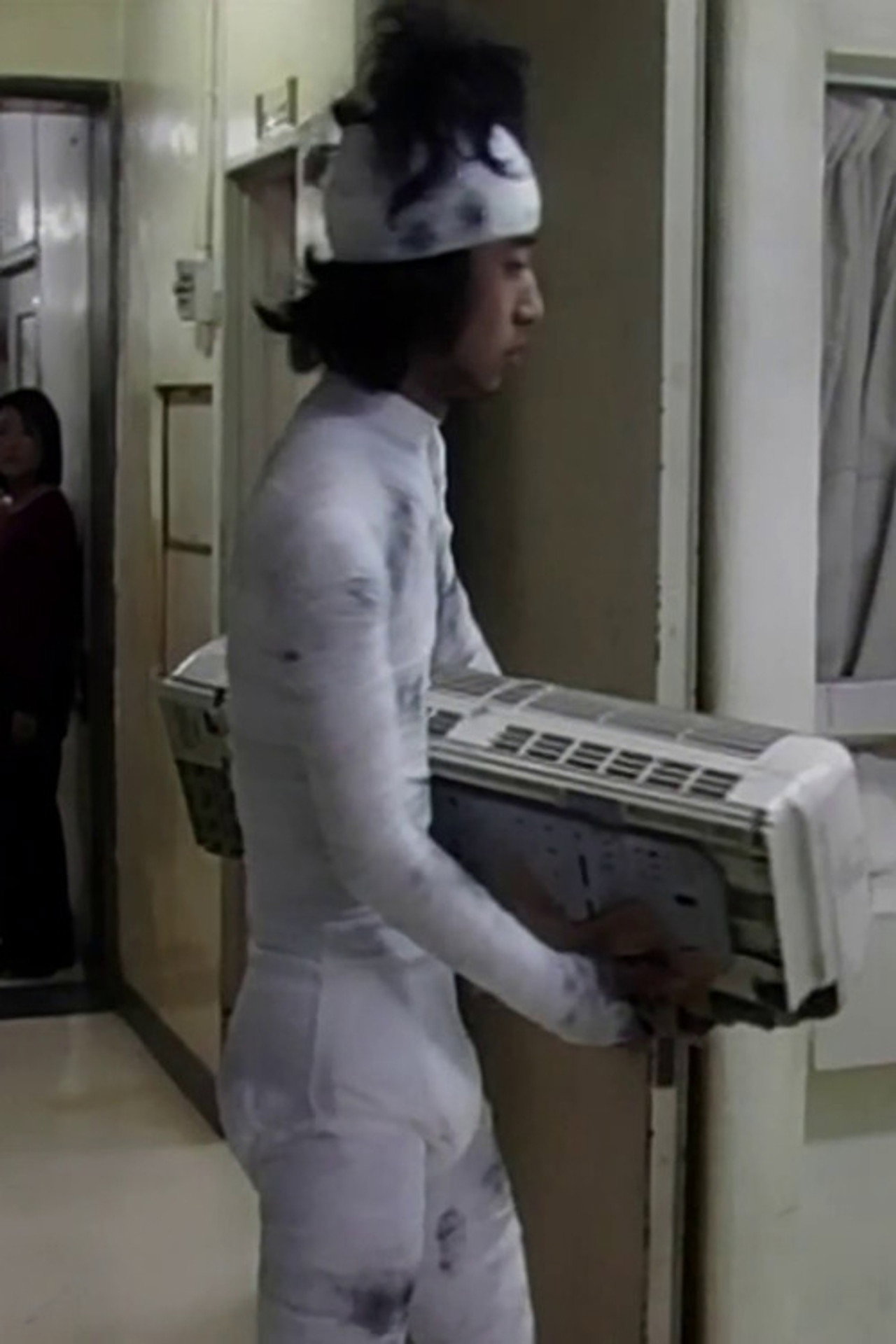 Dog Days Dream Backdrop