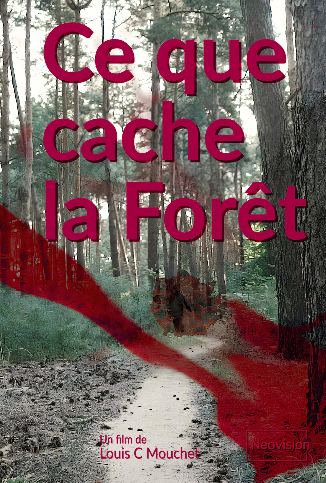 What the Forest conceals