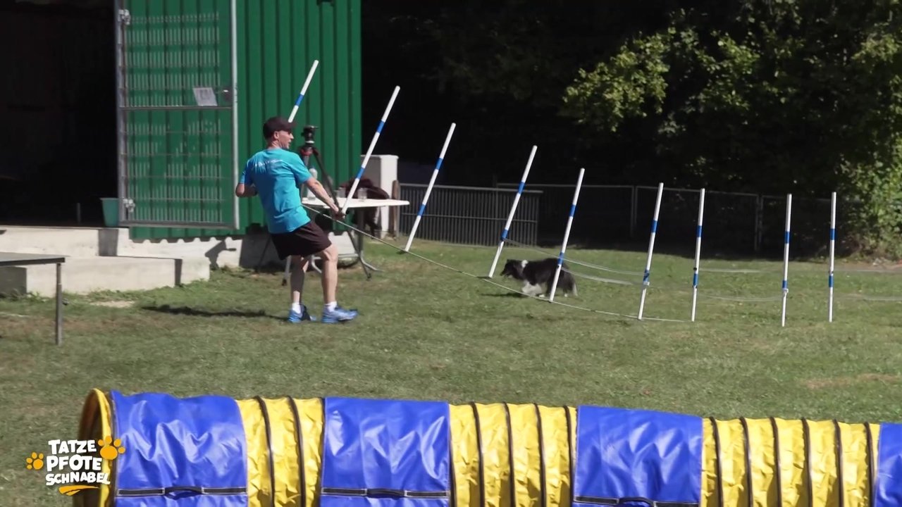 Tatze, Pfote, Schnabel - Season 2 Episode 24 : Episode 24