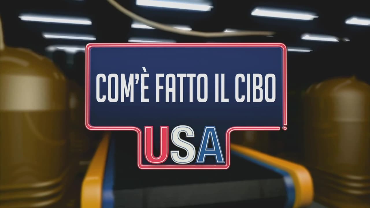 Come è fatto il cibo USA background