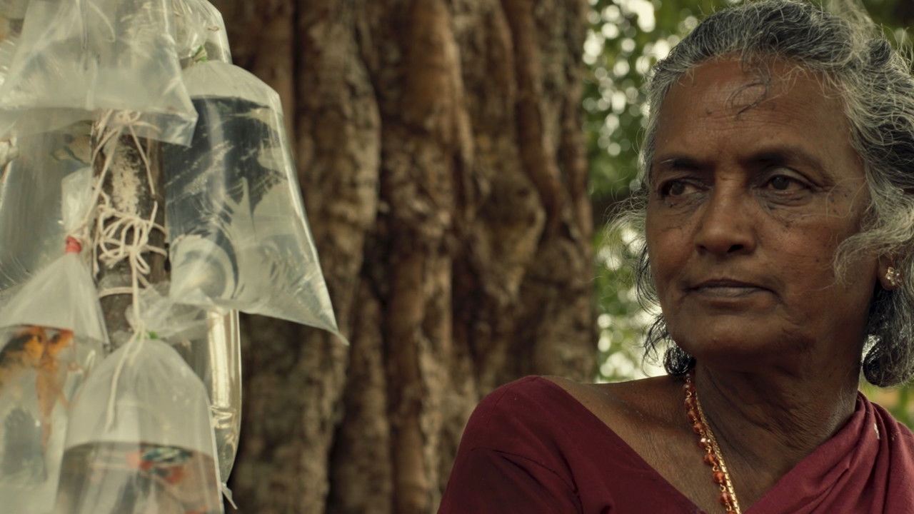 Tears of a Fish backdrop