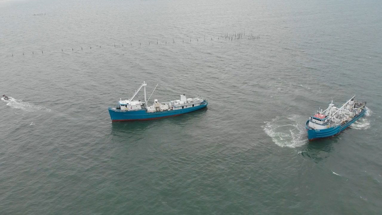 The Biggest Little Fish You've Never Seen